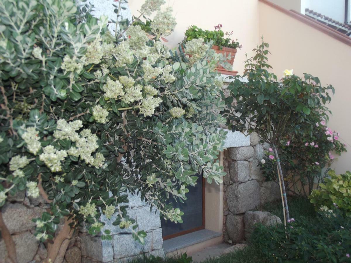 شقة Casa Elena كالا غونوني المظهر الخارجي الصورة
